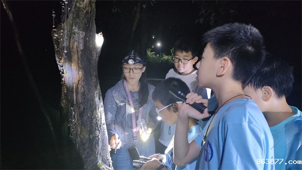 微信图片_20240819024238